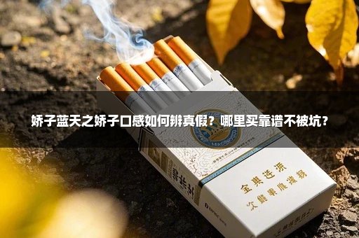 娇子蓝天之娇子口感如何辨真假？哪里买靠谱不被坑？